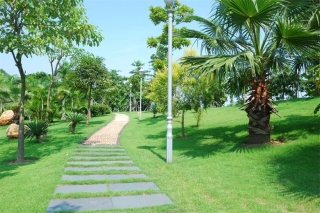 東莞市虎門(mén)港西大坦港區(qū)道路及中心服務(wù)區(qū)綠化工程