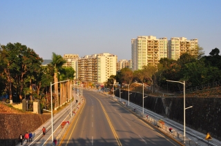 東莞市鳳崗鎮(zhèn)綠化養(yǎng)護采購項目（一標(biāo)）